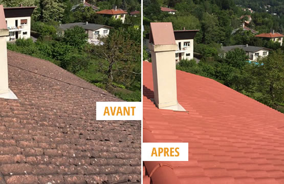 Nettoyage et entretien de toiture à Grenoble
